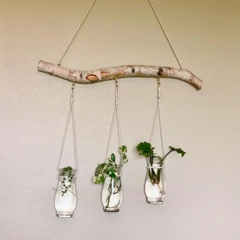 Turned a Burch branch into a propagation station