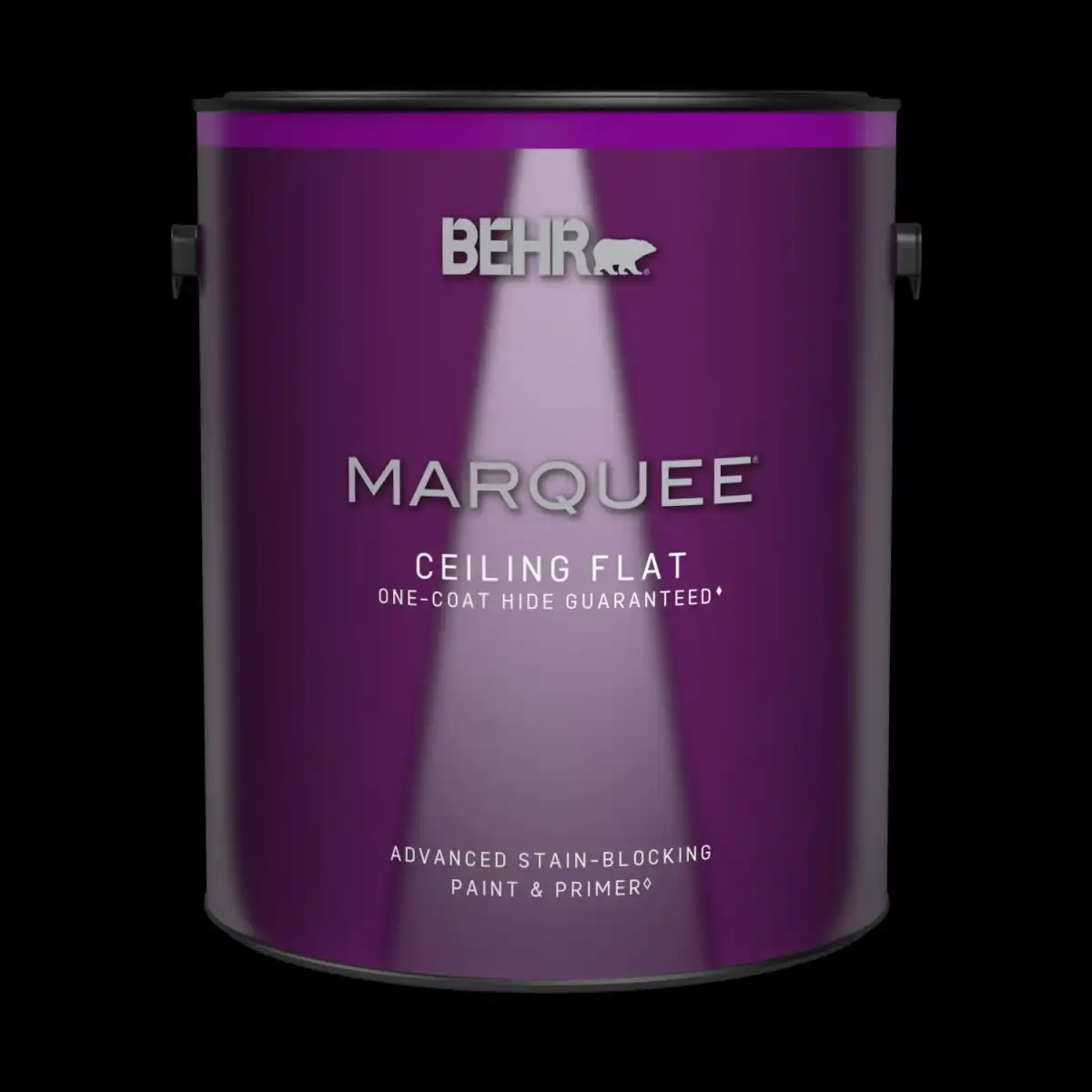 Type of Paint
