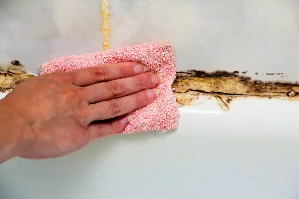 Types Of Mold On Bathroom Ceiling