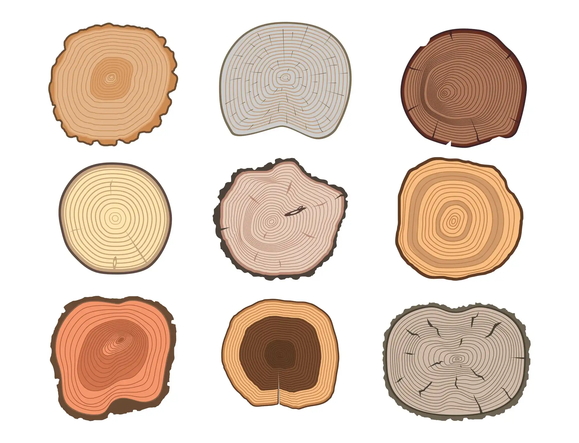 19 Different Types of Wood for Home Projects