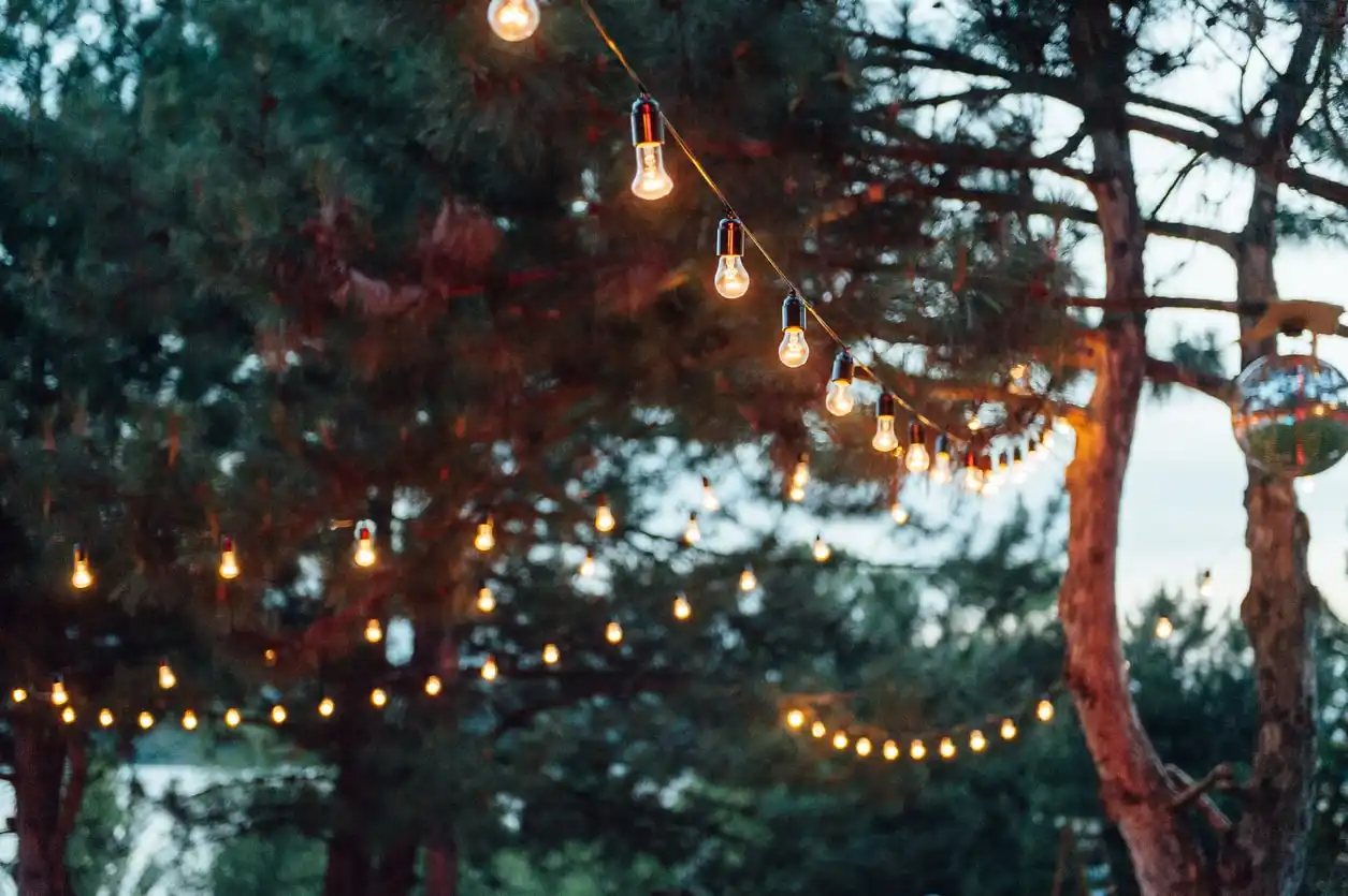 Urban backard string lights