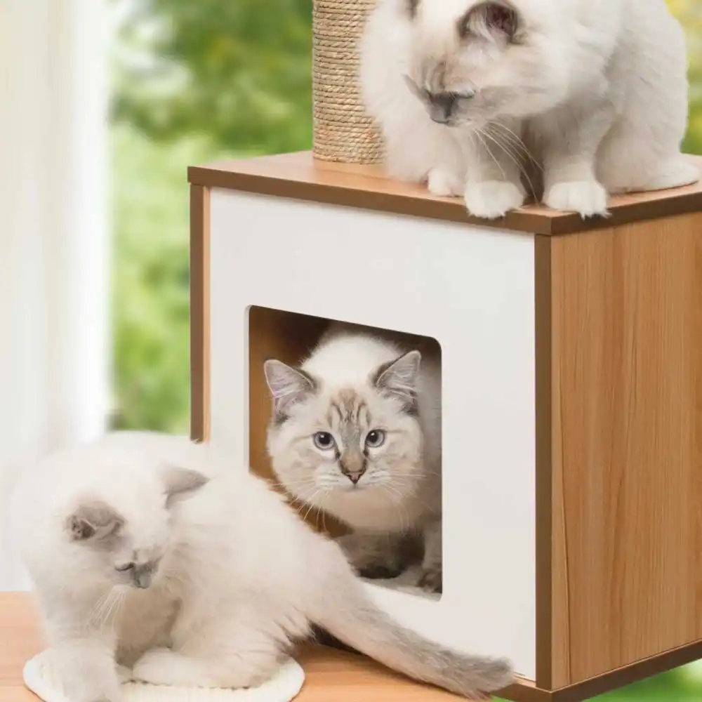 Vesper Cat Furniture