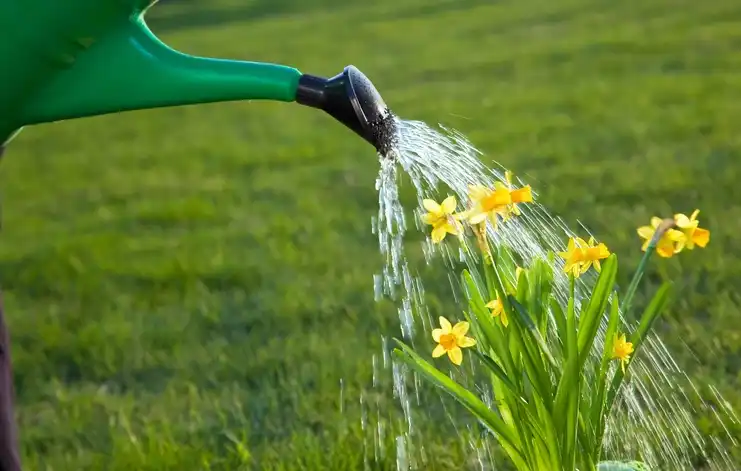Will Vinegar Kill Grass And Other Lawn Care Ideas