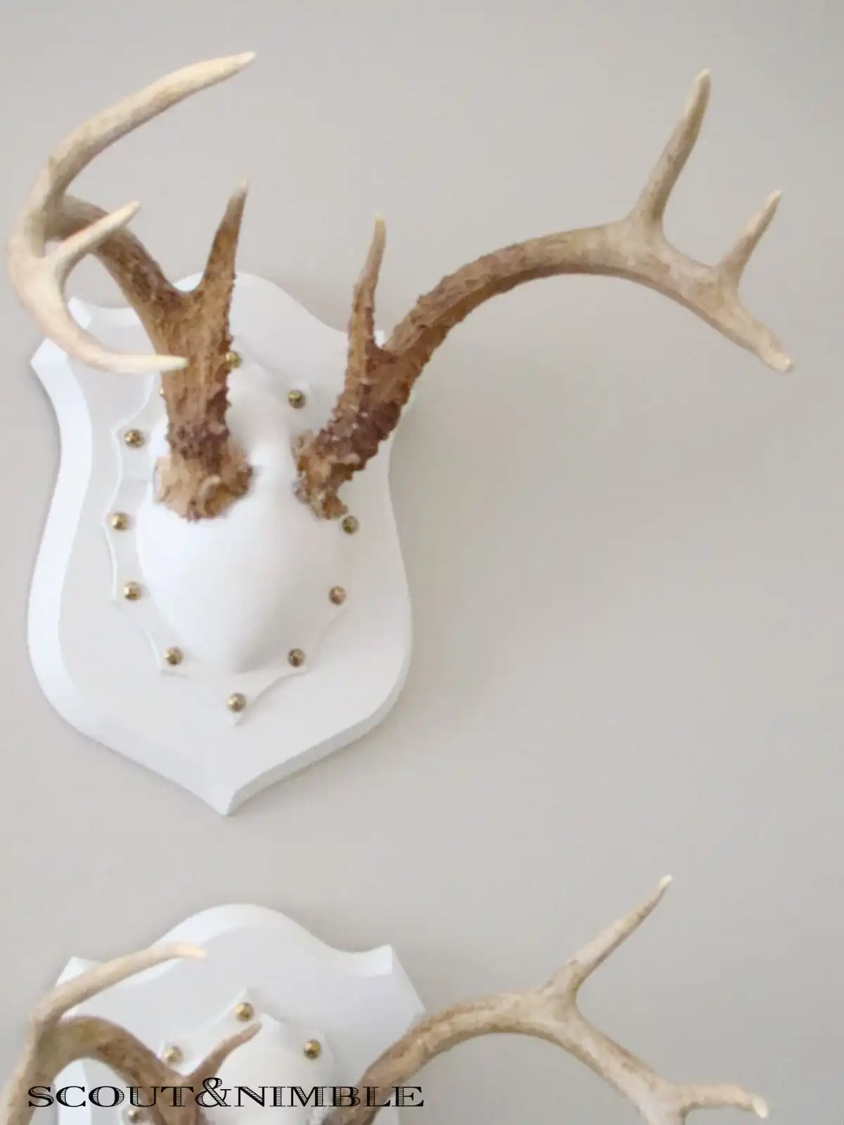Wall Antlers