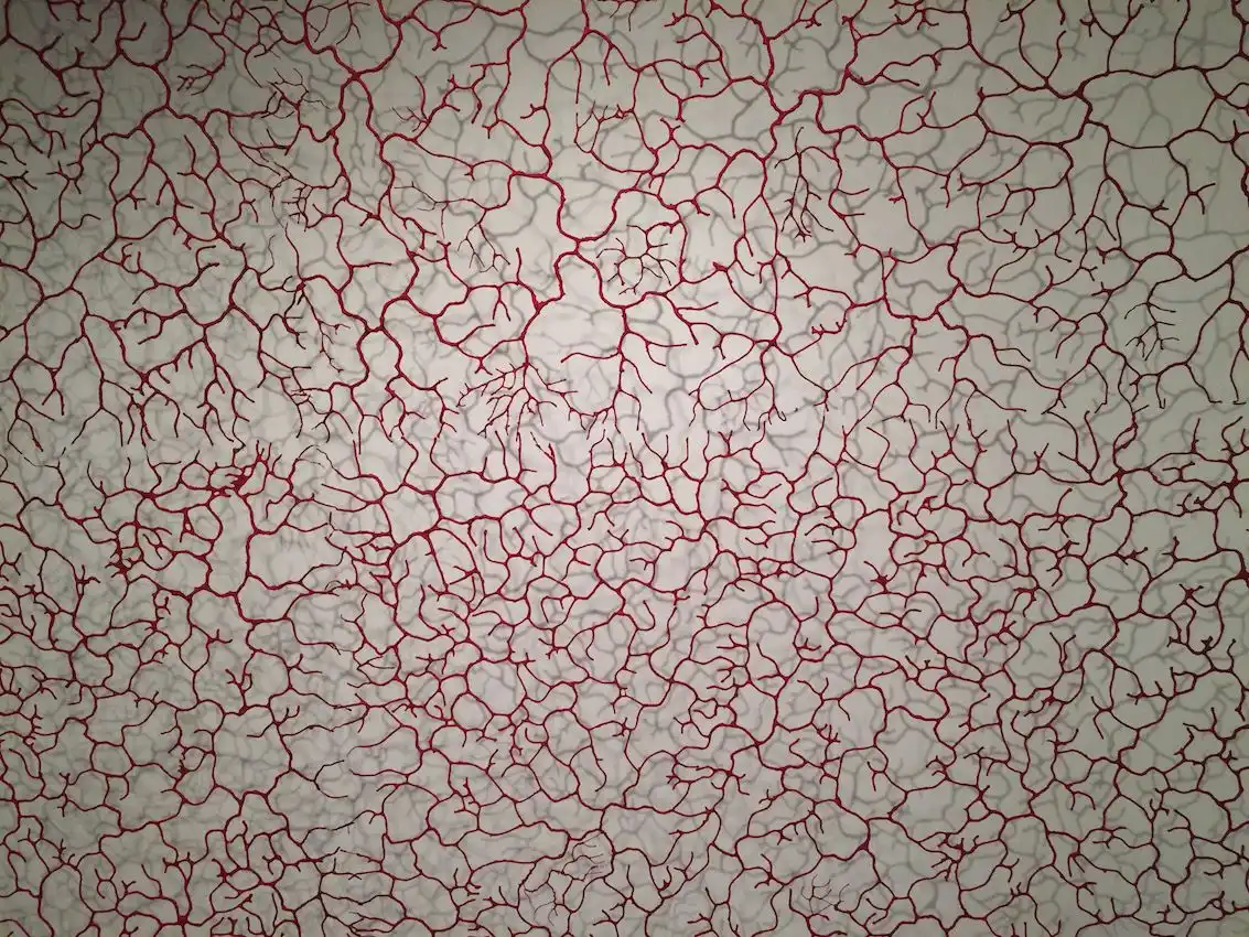 Gjertrud Hals "Insula," 2006, is made of metal threads and fibers. It was presented by the Galerie Maria Westergren of Paris.