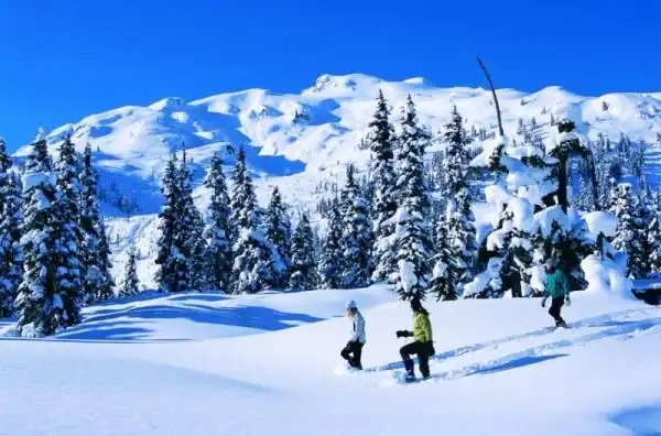 Whistler