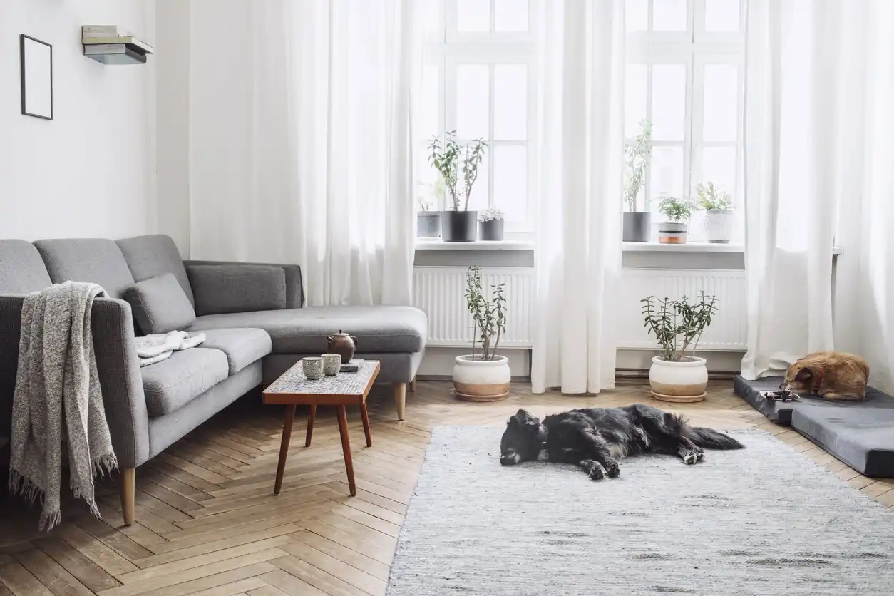 White Living Room Design Ideas For All Budgets And Styles