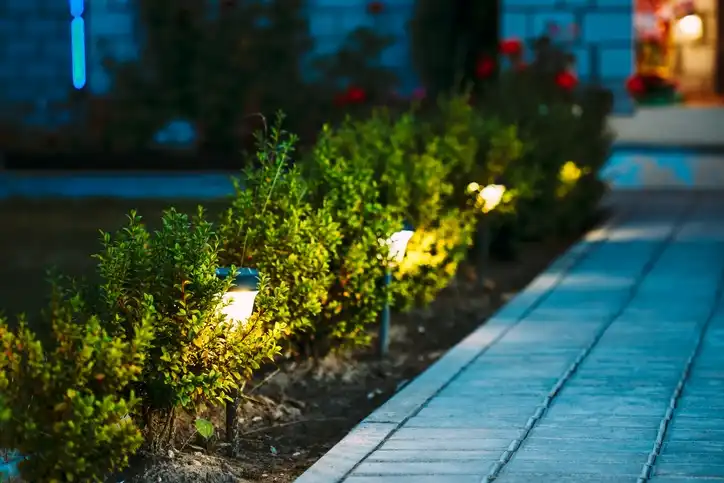 Best Flowers That Bloom At Night
