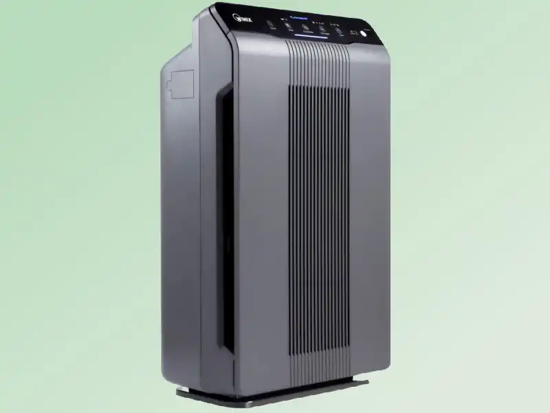 Winix 5300-2