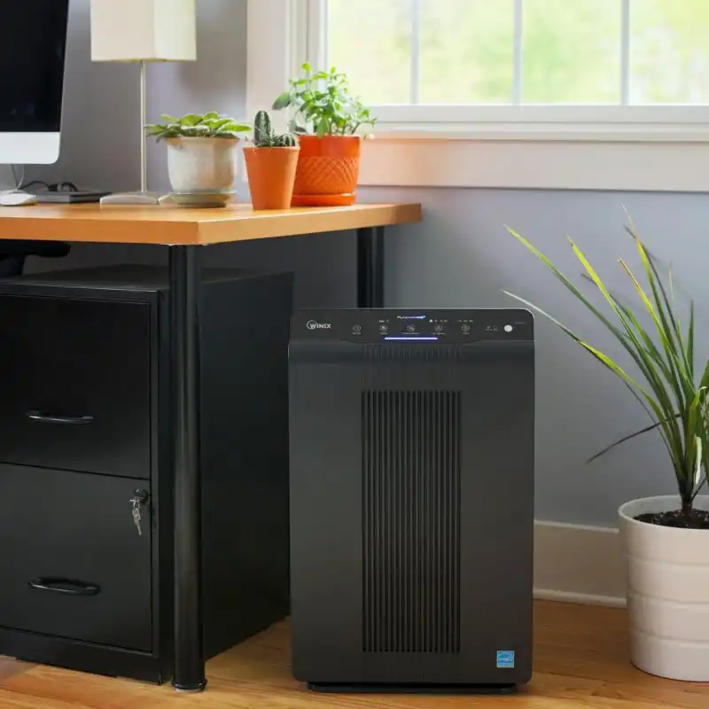 Winix 5500 2 Air Purifier with True HEPA