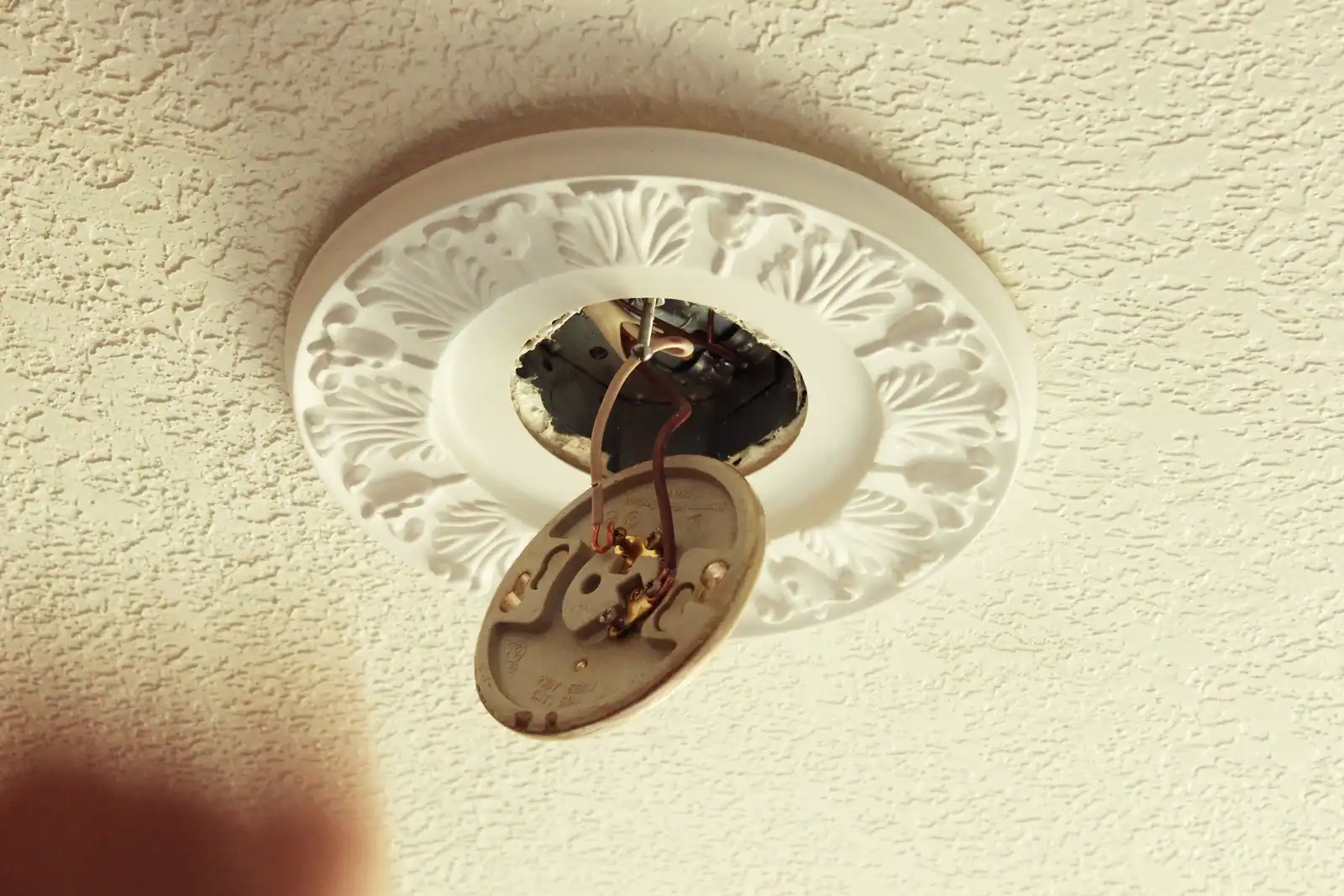 Wire canopy ceiling