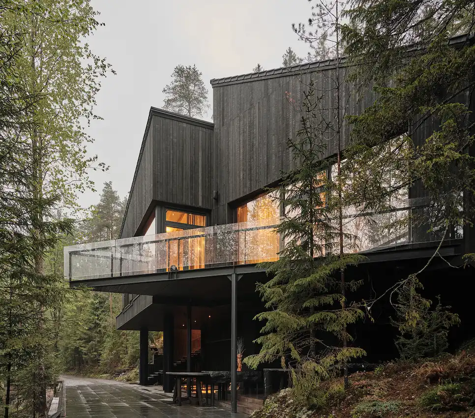 Wood Sidding Forest House in Russia