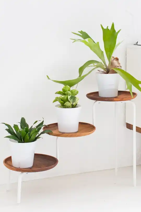 Wood DIY plant stands