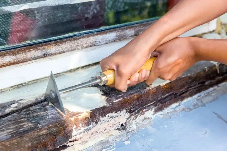 Wood rot repair