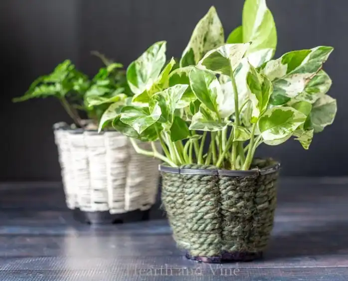 Woven Planters Made From Recycled Nursery Pots
