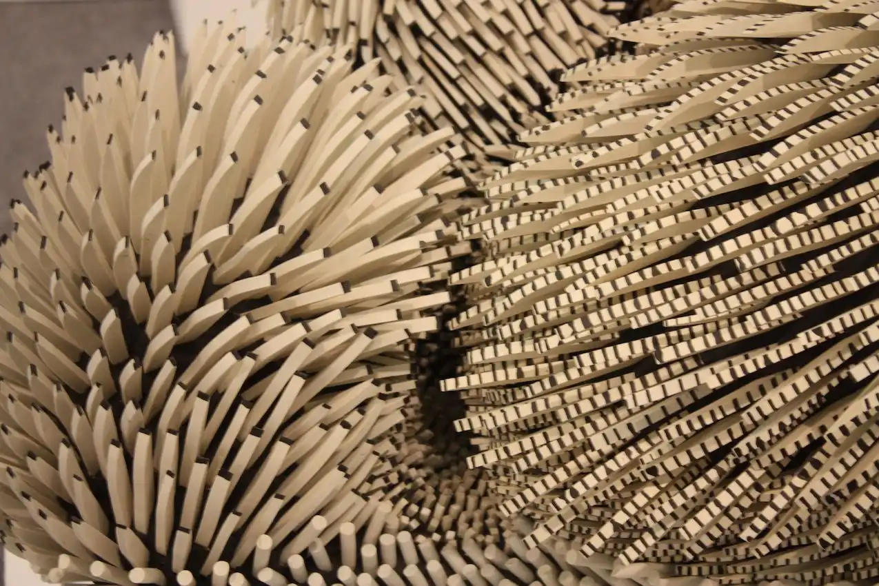 Acclaimed Zemer Peled design artful