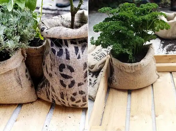 Bagplanter
