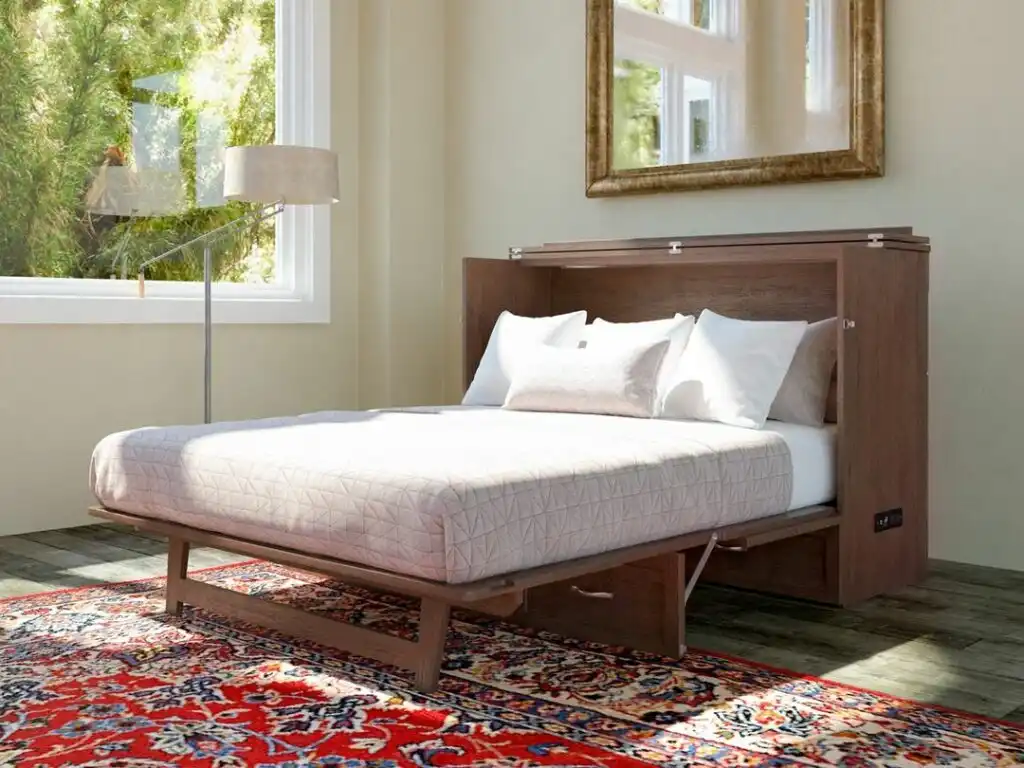 Bed murphy on red rug 1024x768