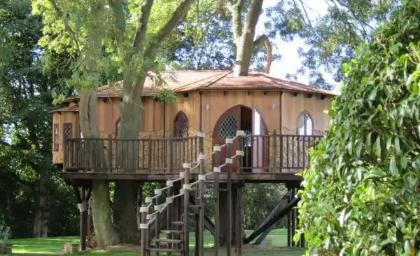 Blue forests treehouse office
