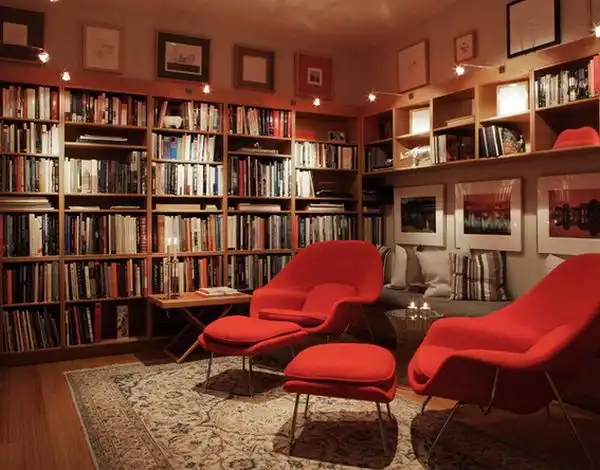 Bold read armchairs for reading room