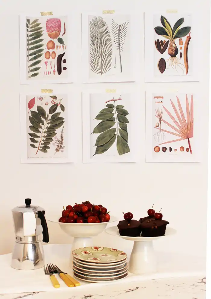 Botanical prints wall