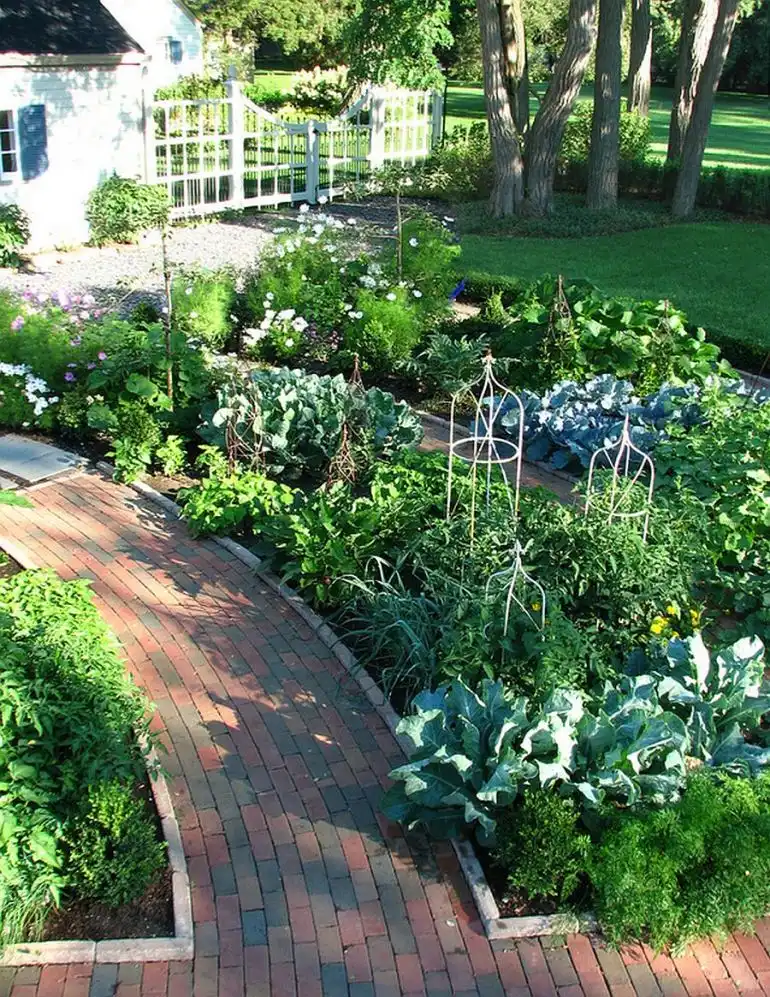Bricks pathway design
