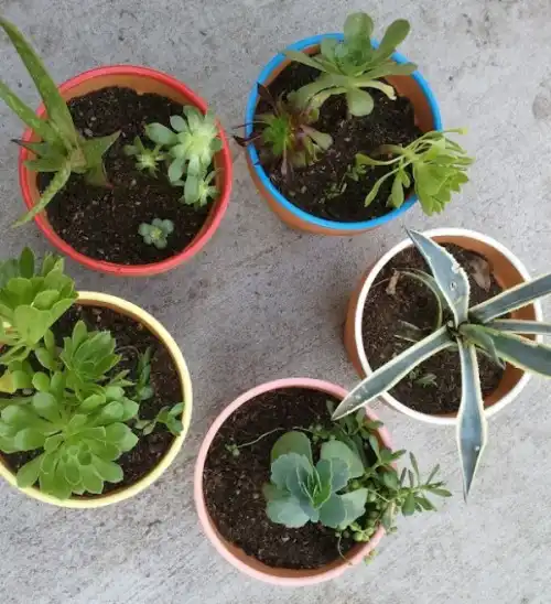 Bright diy planters2