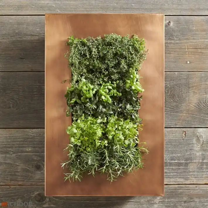 buy copper planter