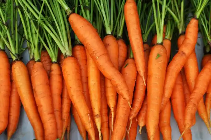 carrots