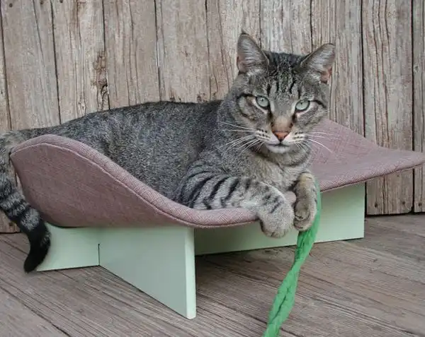 Cat pet bed
