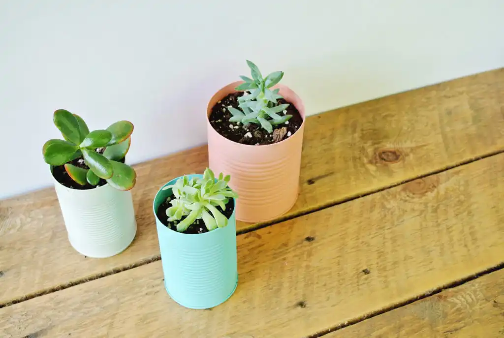 Colorful tin can planter DIY 1024x687
