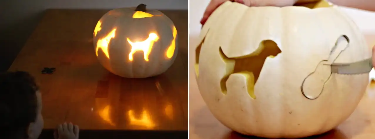 Utilize Cookie Cutters as a Guide