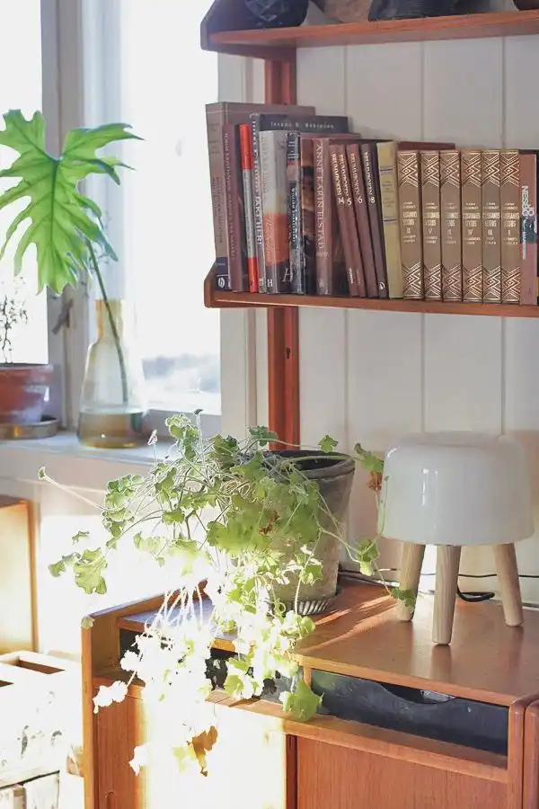 Decorate with plants inside