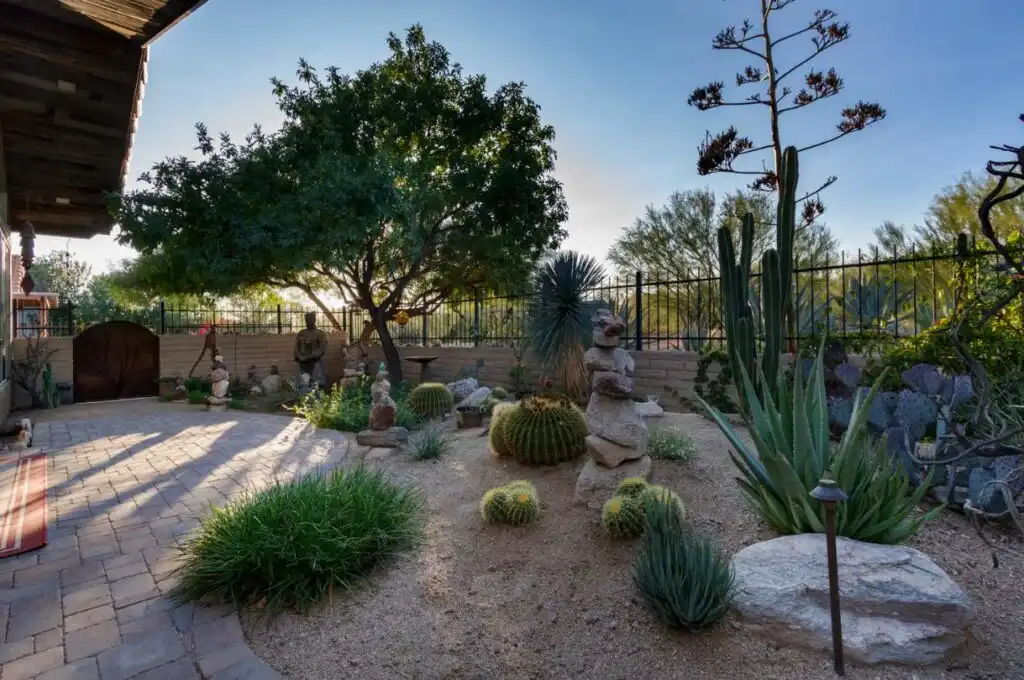 Desert Landscape Plants