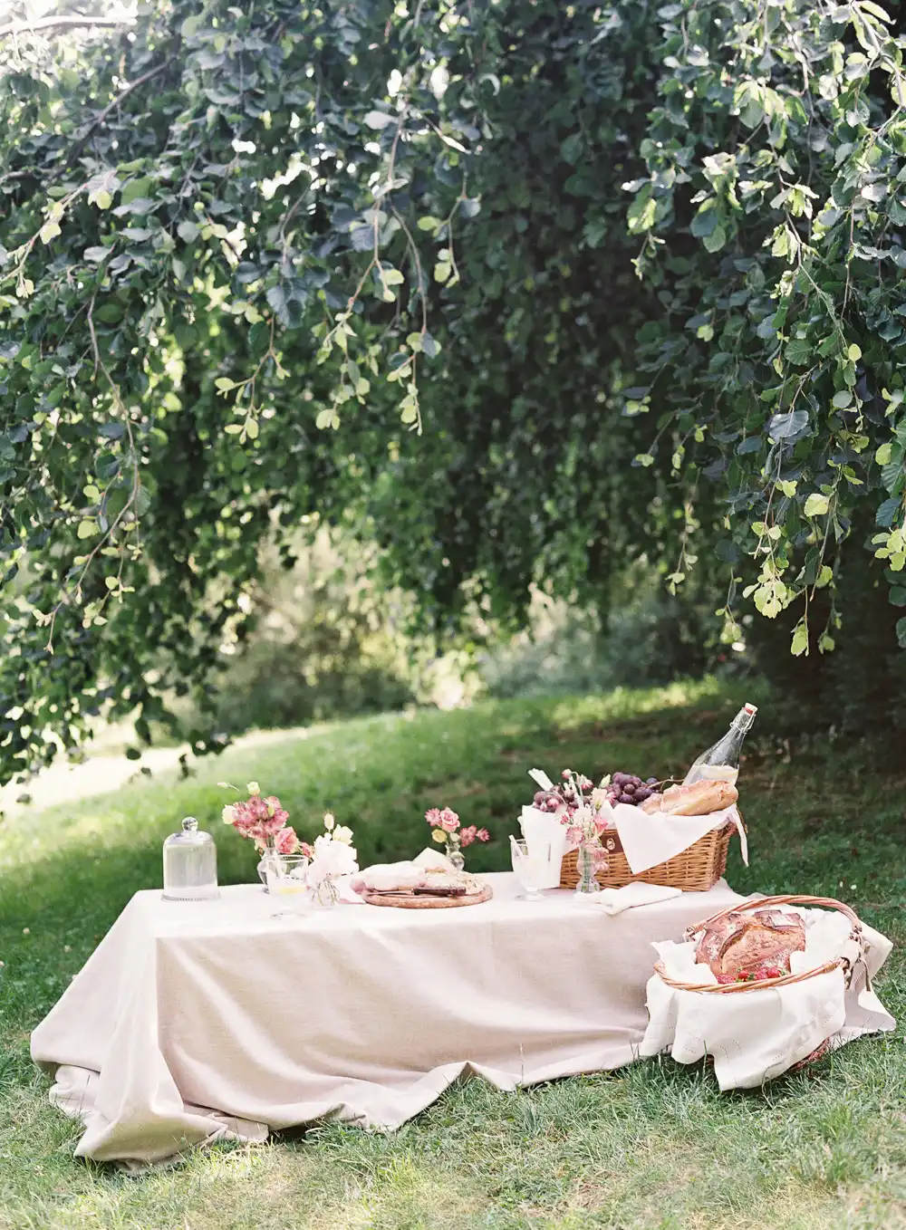 design-the-perfect-picnic