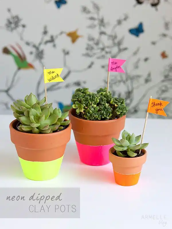 Dipped succulent pots