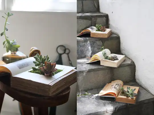 Diy book planter