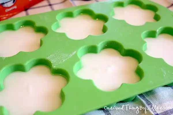 Diy deodorizing disks