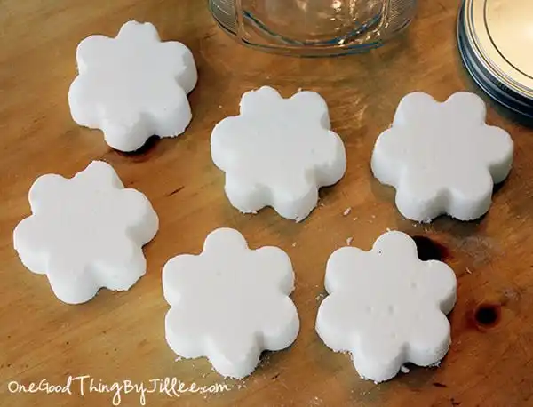 Diy deodorizing disks1