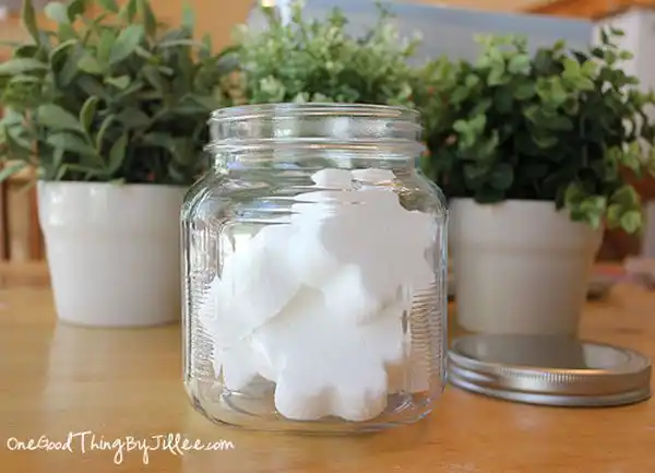 Diy deodorizing disks2