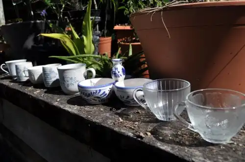 Diy indoor teacup succulent garden 2