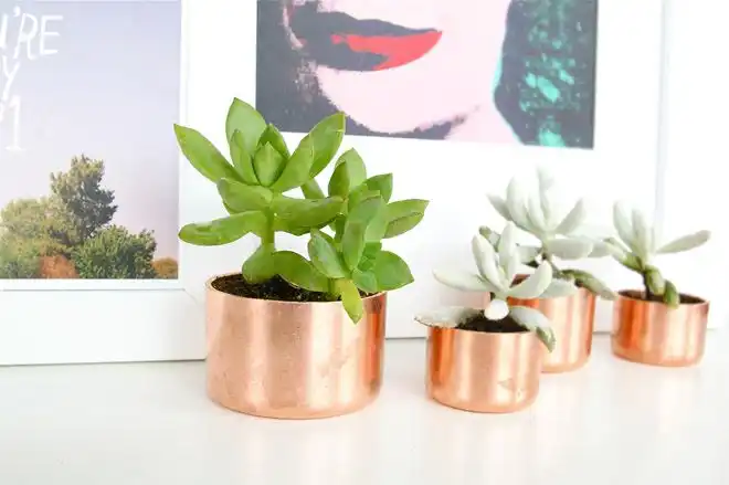 diy mini planters