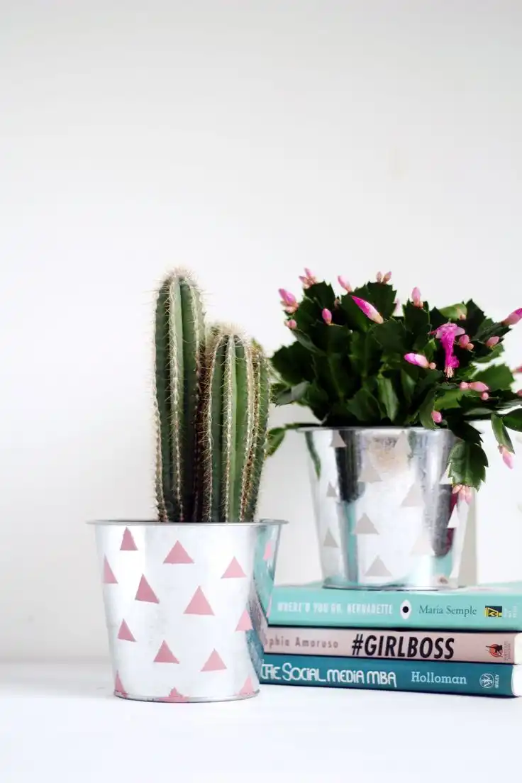 diy plant pots