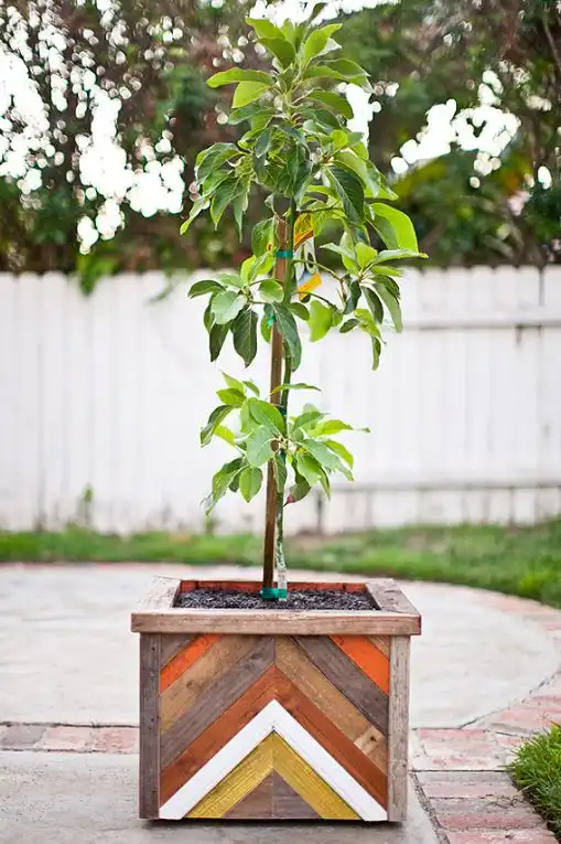 Diy planter