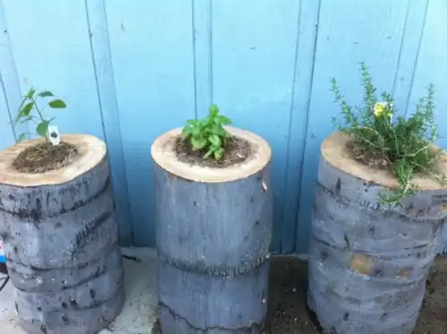 Diy tree stump planters
