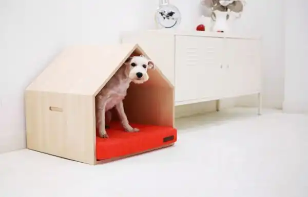 Dog house mpup