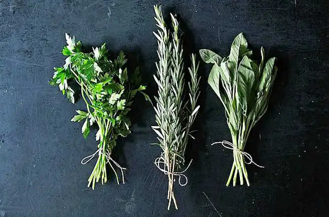 drying herbs