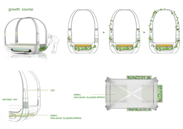 Ecotypicbed05
