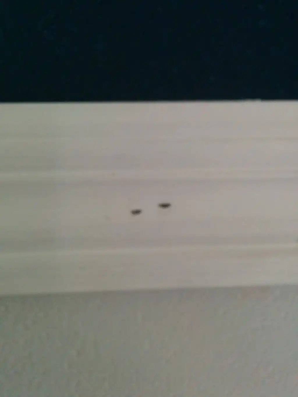Filler nail hole wall trim 21