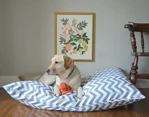 Floor pet bed
